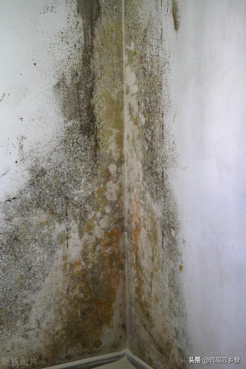 如何防止墙根返潮发霉,农村房子一下雨家里就返潮怎么办