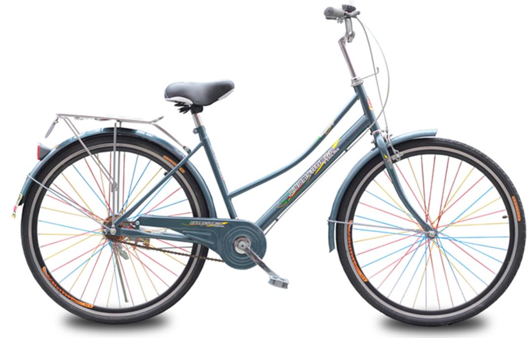 自行车不倒的科学原理未解之谜,自行车世界未解之谜