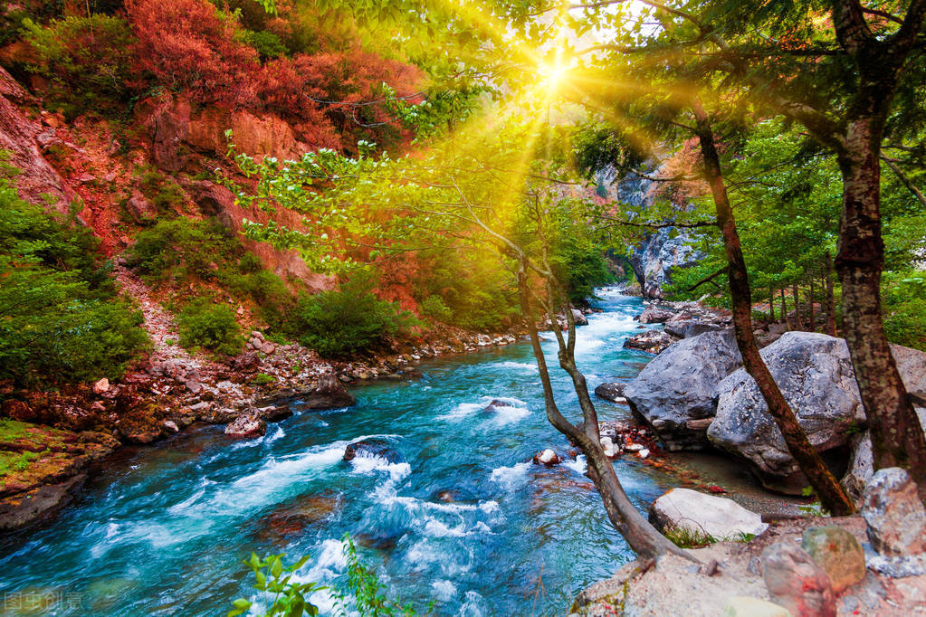 茶馆创业计划书,开一家茶馆的创业规划