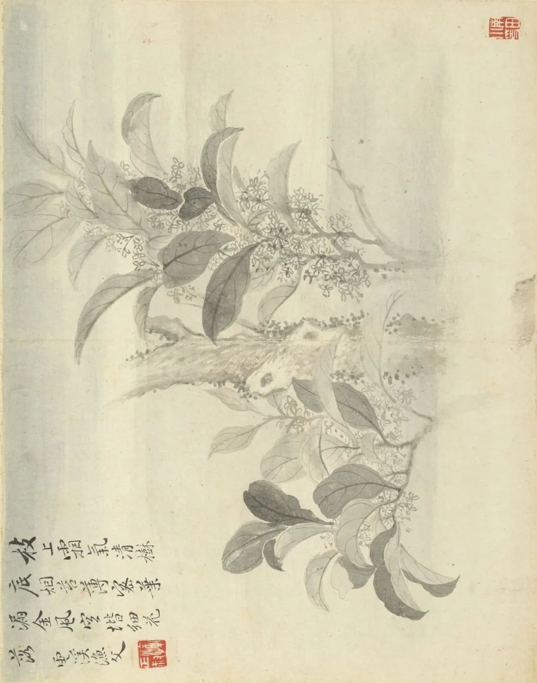 慕容看世界的视频,慕容看世界所有视频