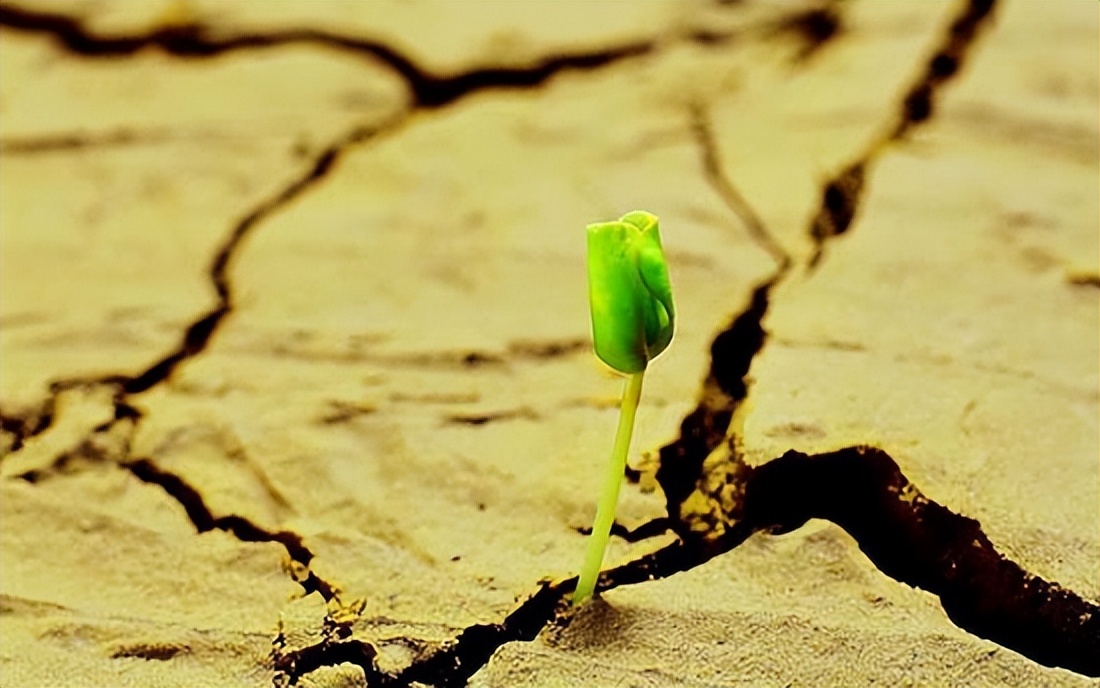 创业小白创业需要注意什么,创业需要具备的5大基本条件