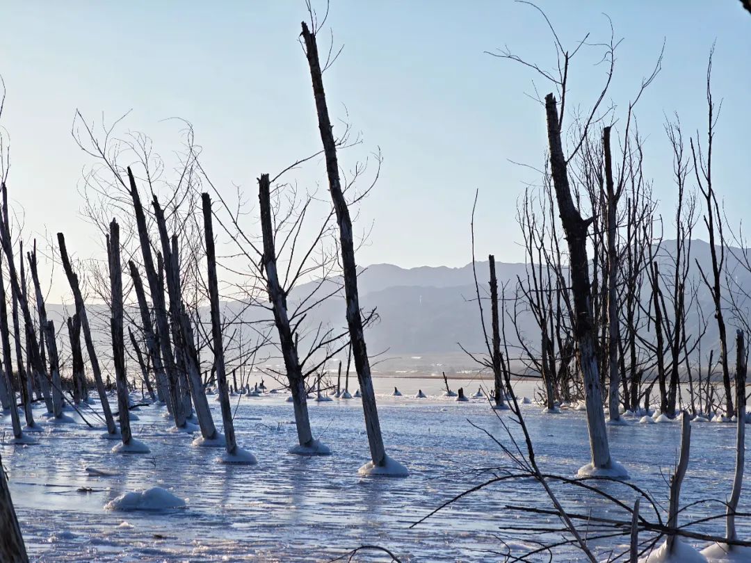 vivox90pro和小米12sultra测评,vivox90pro+和小米12sultra