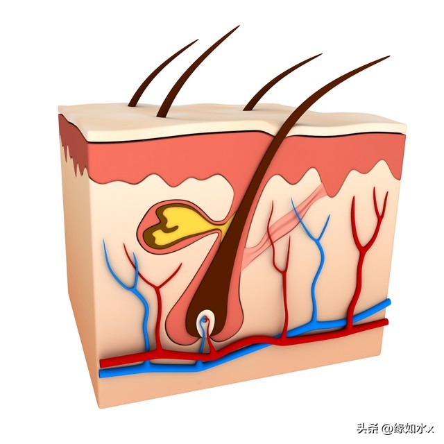 为什么脸上的油那么多冬天也多,脸上油多真的不好吗