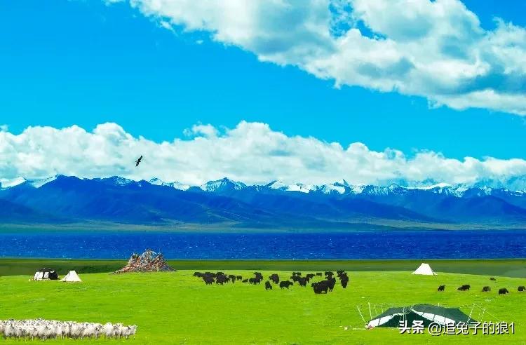 自欺欺人不可行——读孔老夫子逸诗评论有感