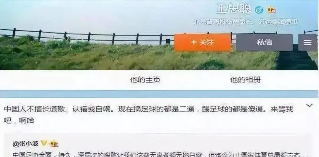 王思聪万达董事,王思聪万达酒店