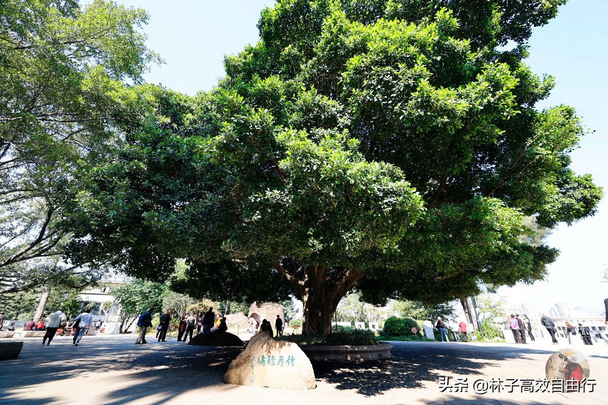 福州有哪些特色玩的,福州市区游玩攻略