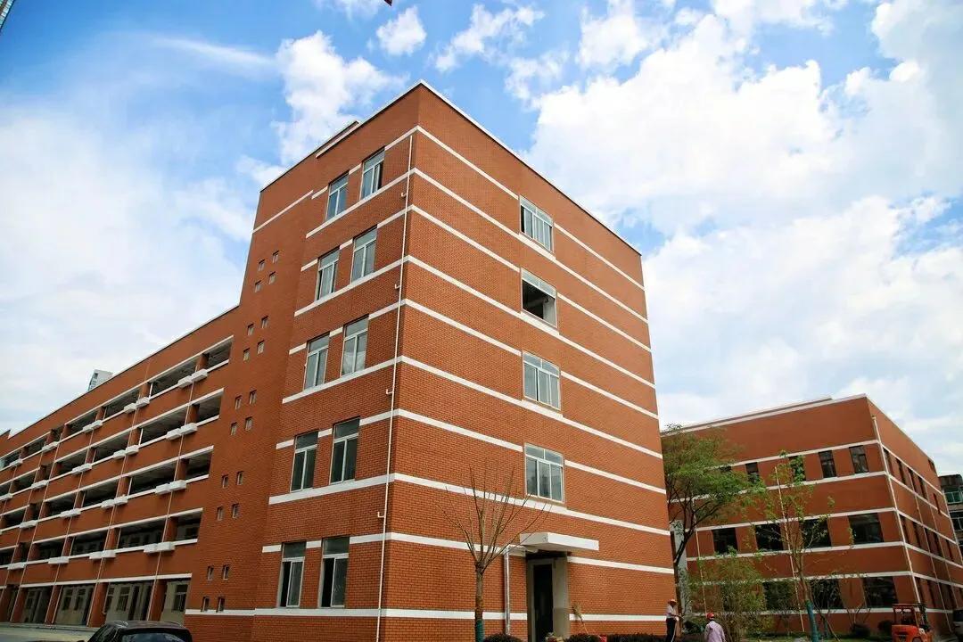 合肥中考生太难了！610读不了公办，650考不上5中，680走不了1中