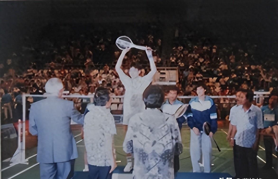 杨阳前程似锦,杨阳洋国家队