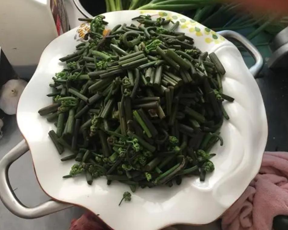 四种蔬菜被列入致癌名单,哪些蔬菜是致癌菜