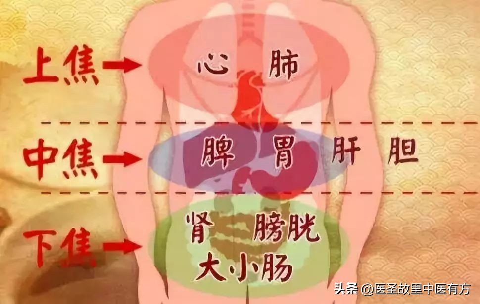 化湿名方三仁汤剂量,三仁汤治湿热的配方