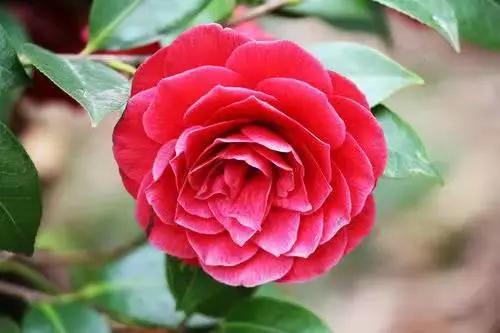 这个季节去哪里玩最合适昆明周边,昆明周边过年旅游推荐