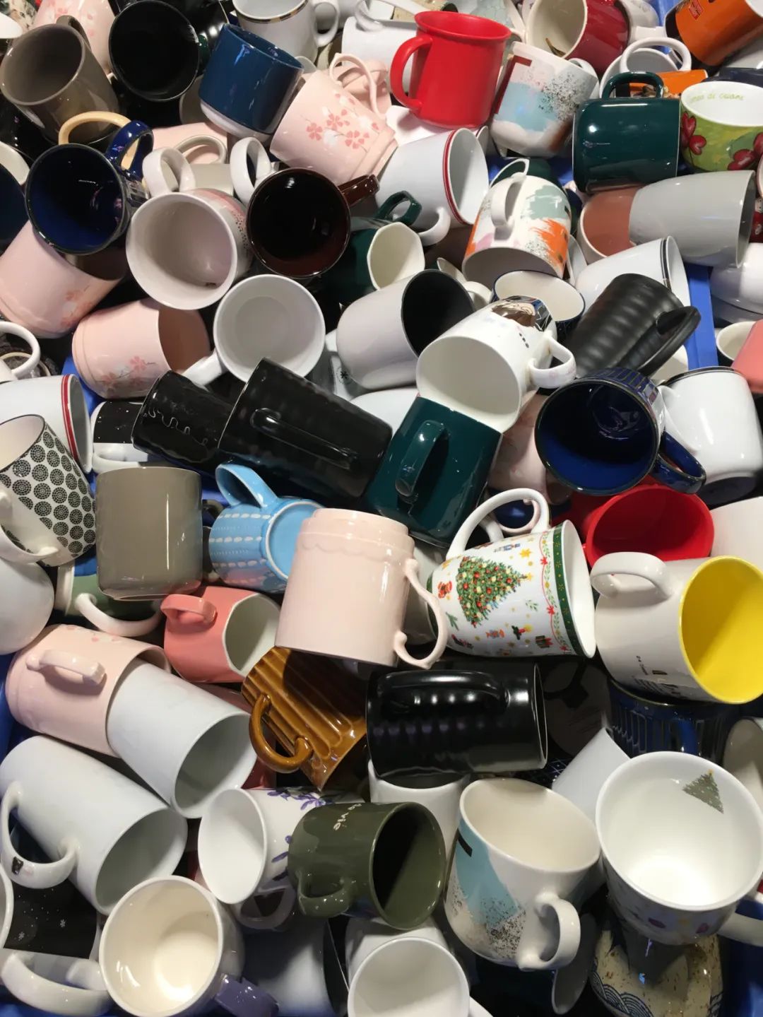 《旭光骑行深圳》第2站——龙岗区布吉街道