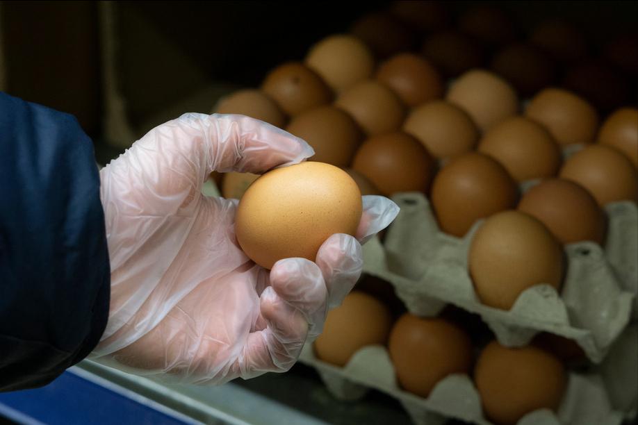 买鸡蛋是大的好还是小的好,鸡蛋买大的好还是小的好