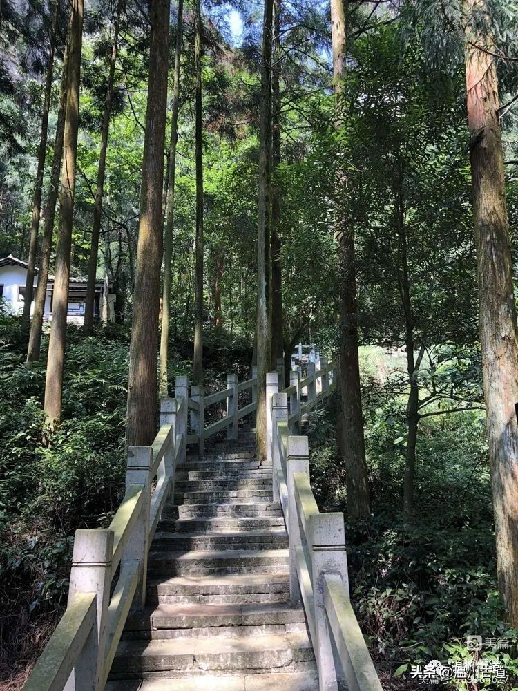 雁荡山的七大景区,雁荡山八大景区哪个更值得去