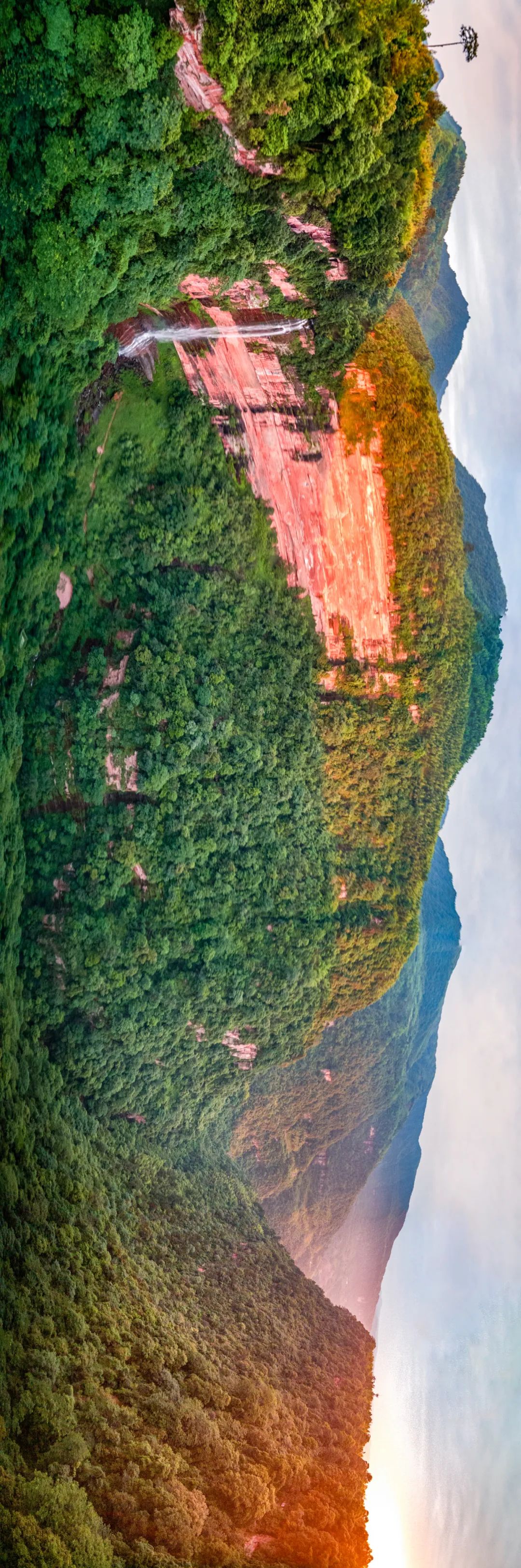 绿色狂想曲,绿色狂想曲三年级