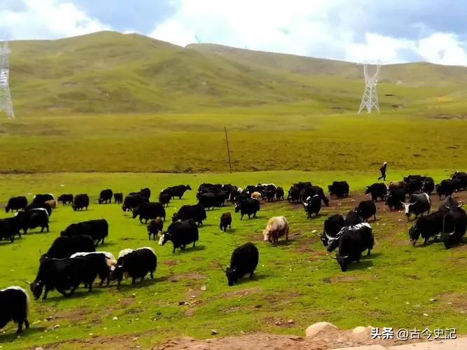 带你了解神秘的青海,青海省冷知识