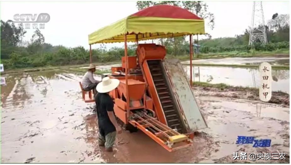 我爱发明|了不起的创造力,正是乡村振兴的“新势力”