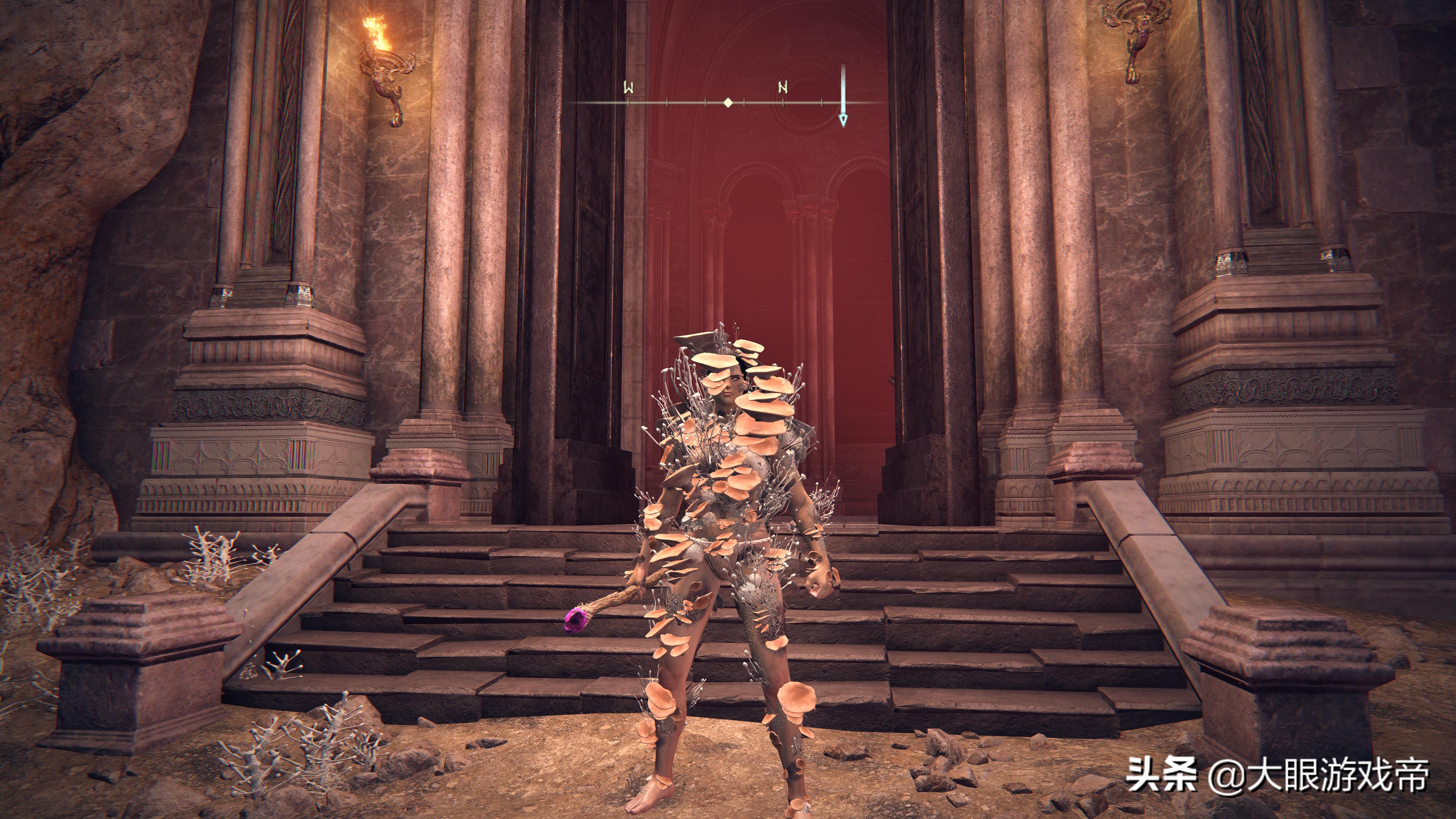 艾尔登法环特大剑图鉴,艾尔登法环套装图鉴