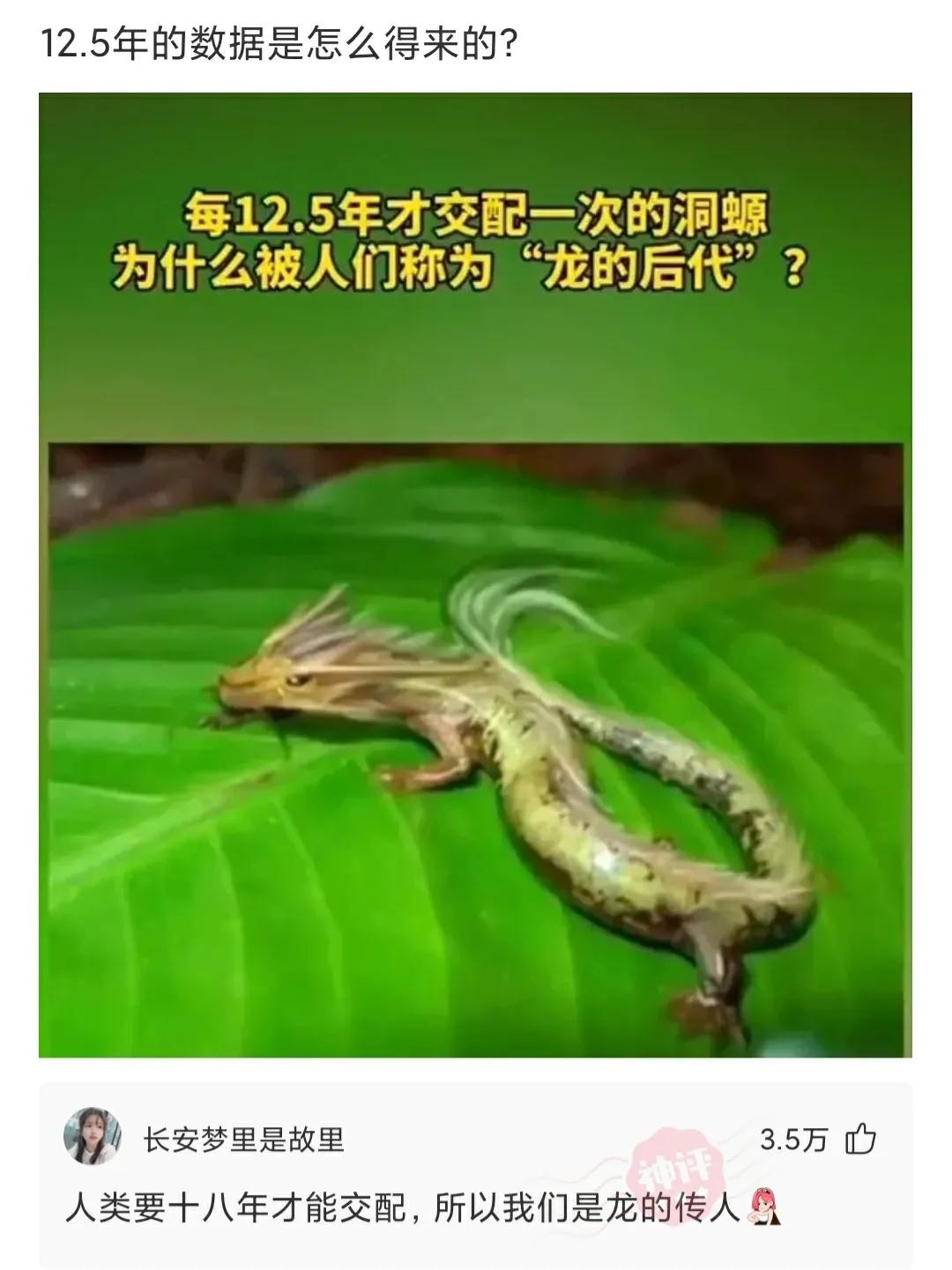 手上长了一条白毛可以拔掉吗,手上长了一条白毛是什么原因