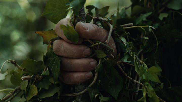 皮草变成草皮了,皮草过时了今年流行这12款