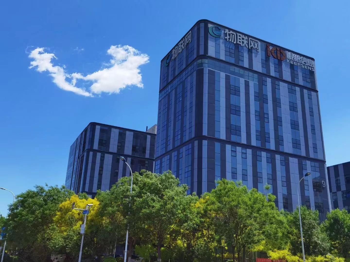 【特别策划】高质量发展看滨海·民企调研行丨鲲鹏信息:“鲲鹏”展翅滨海好腾“云”