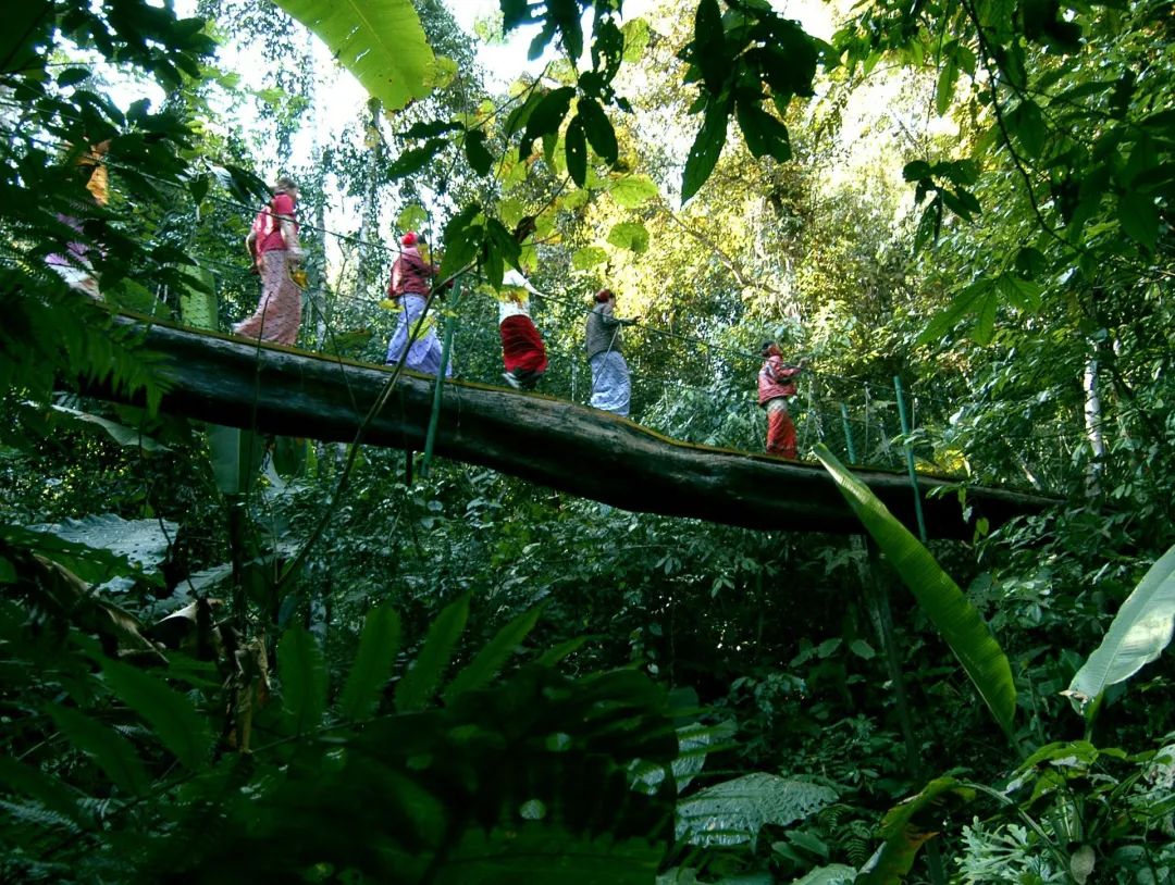 云南新春主题游,春节去云南旅游哪些地方好耍的