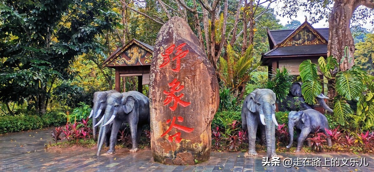 云南旅游攻略5天最佳线路推荐,云南旅游攻略7天最佳线路图