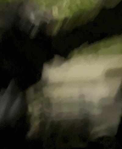 江苏偷猫事件,偷猫人被抓新闻