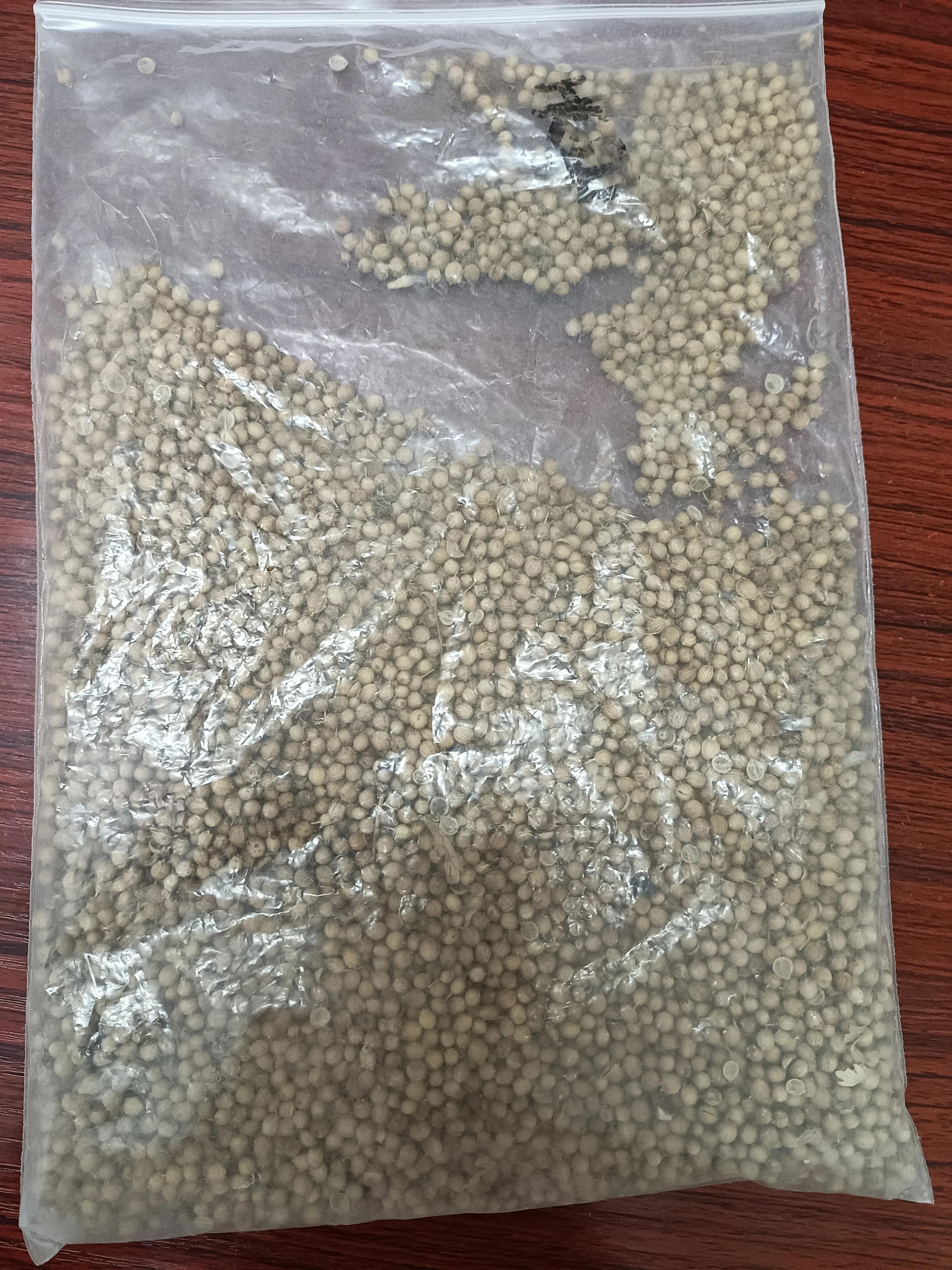 菜地菜种子怎么种,买的蔬菜种子第二年如何留种