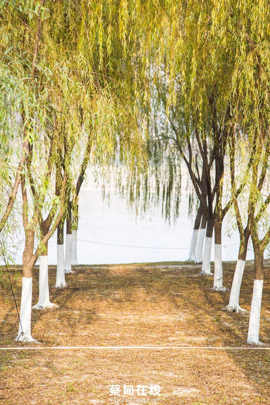 武汉气温回升,武汉气温回暖最新消息