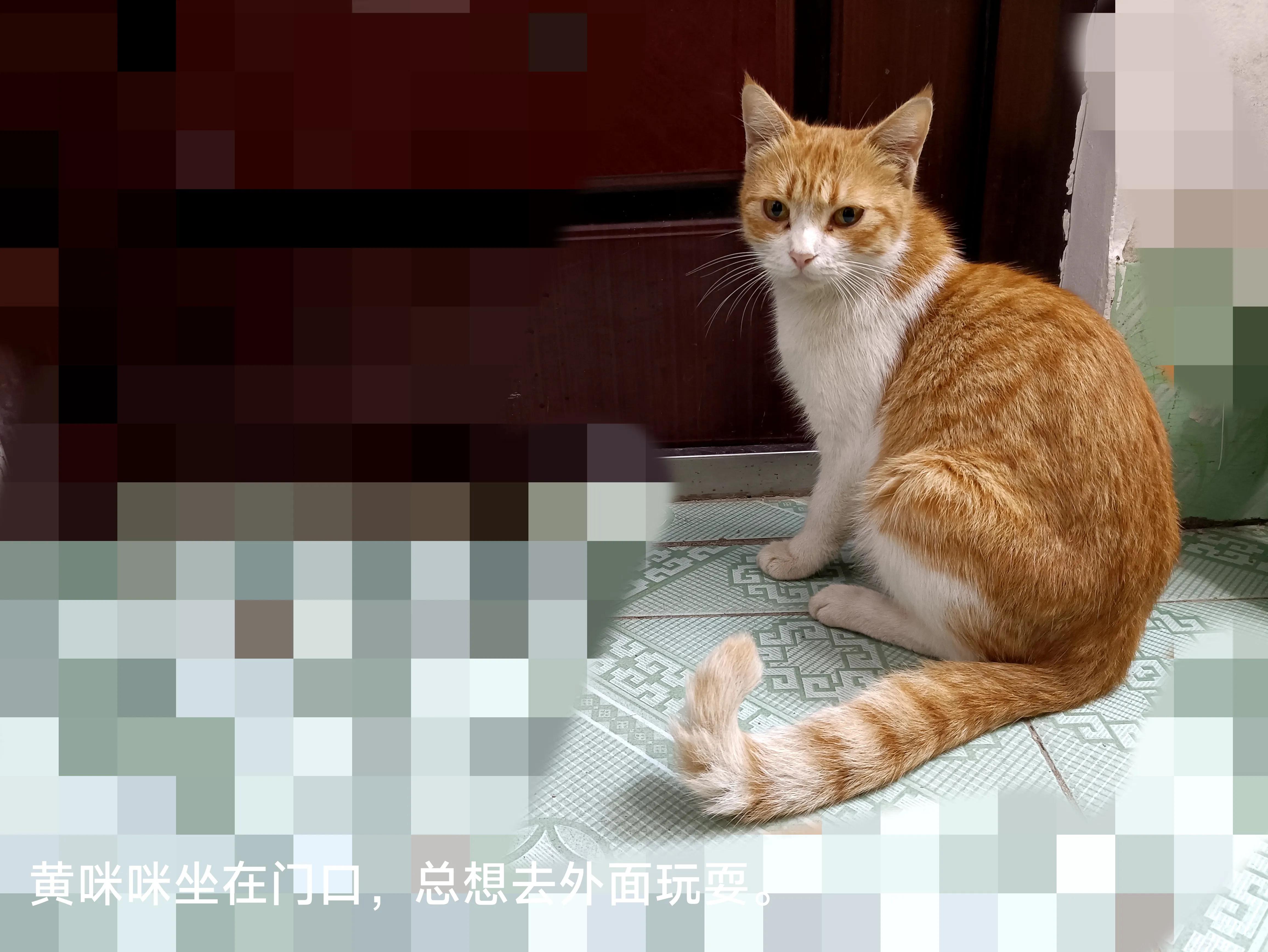 感谢有爱的邻居的视频,感谢有爱的邻居