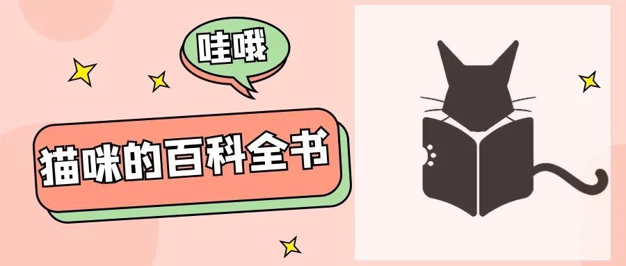 猫咪疾病会传染人吗,猫咪常见容易传染给人的疾病
