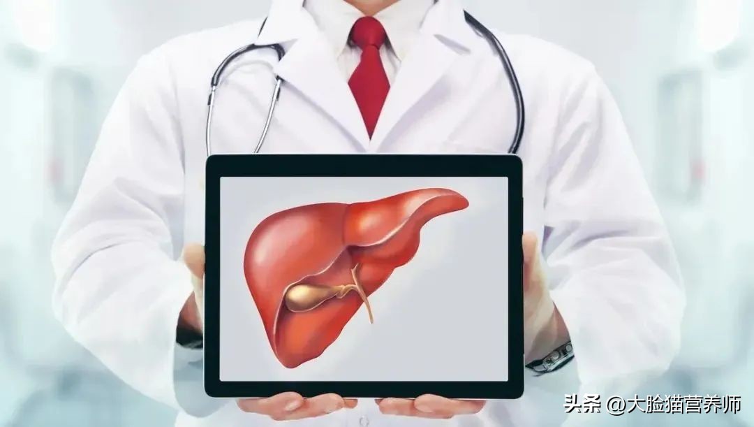 肝硬化肝衰竭的患者能吃什么,肝硬化怎么补充蛋白质食谱