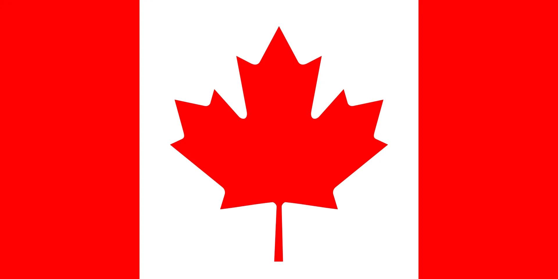 旗开得胜2019冠军表演赛,旗开得胜再创辉煌