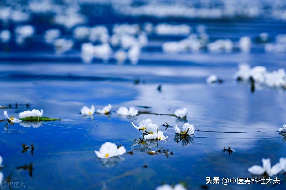 年少伤了肾精,年少伤精