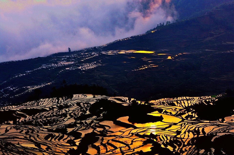 2022年春节云南免费景区,云南春节最合适的景点是哪些