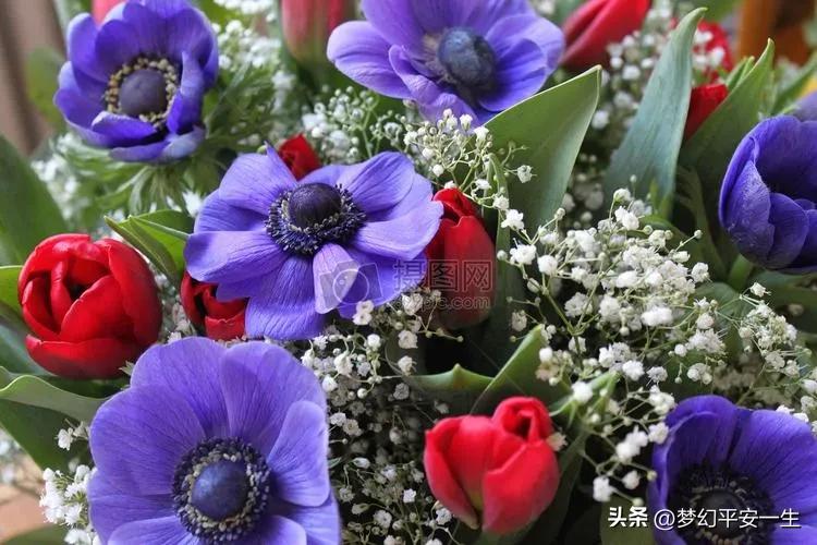 供销社出路,供销社的经历和感受