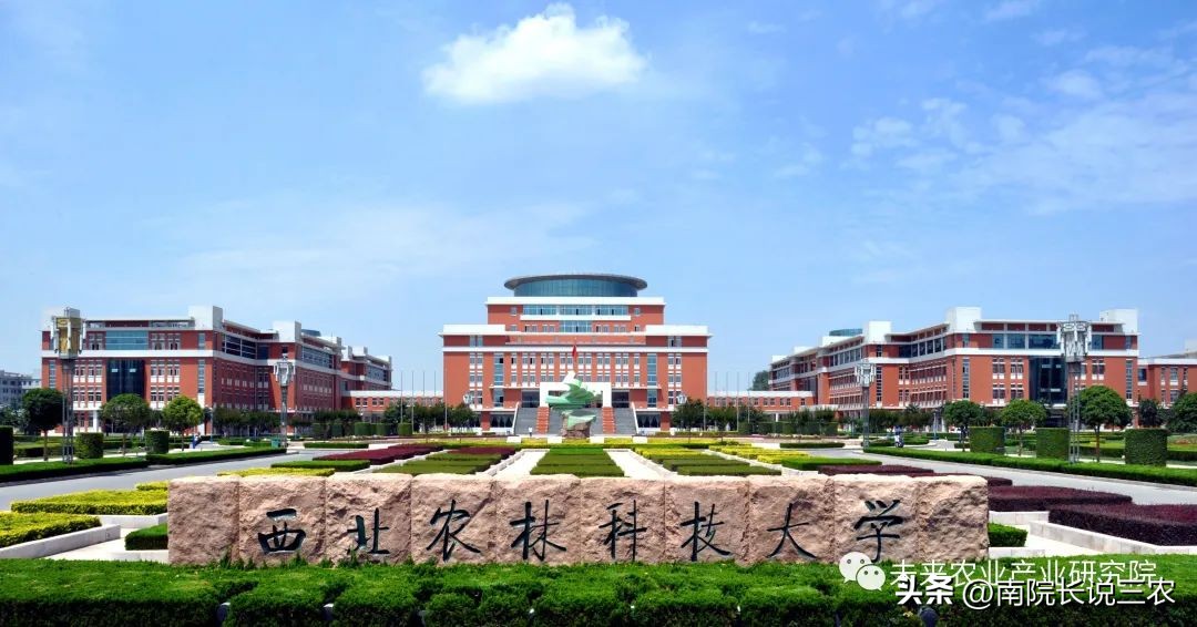 益生菌未来方向,益生菌二期