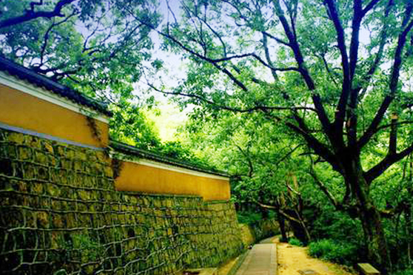 常建晨游破山寺作诗,创造一个经典成语,如今成小学生必背的名篇