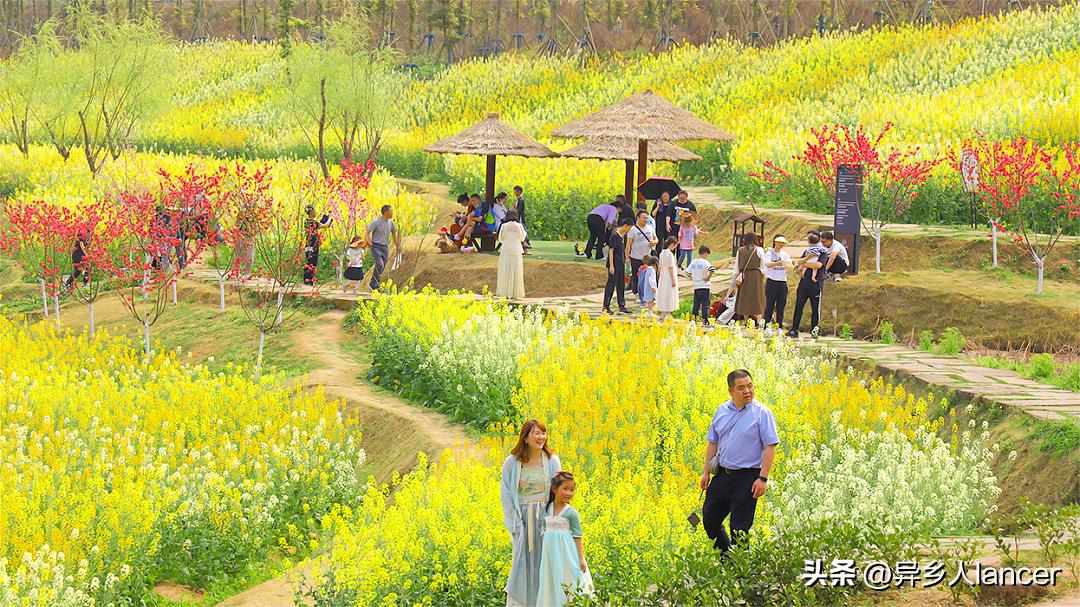 家庭农场：是否能成为乡村致富的新风口？