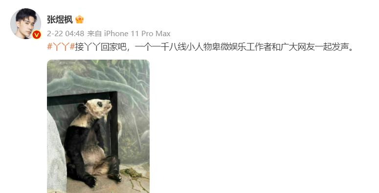 多位明星为国宝丫丫发声！黄晓明惹争议，身为熊猫大使出面太晚