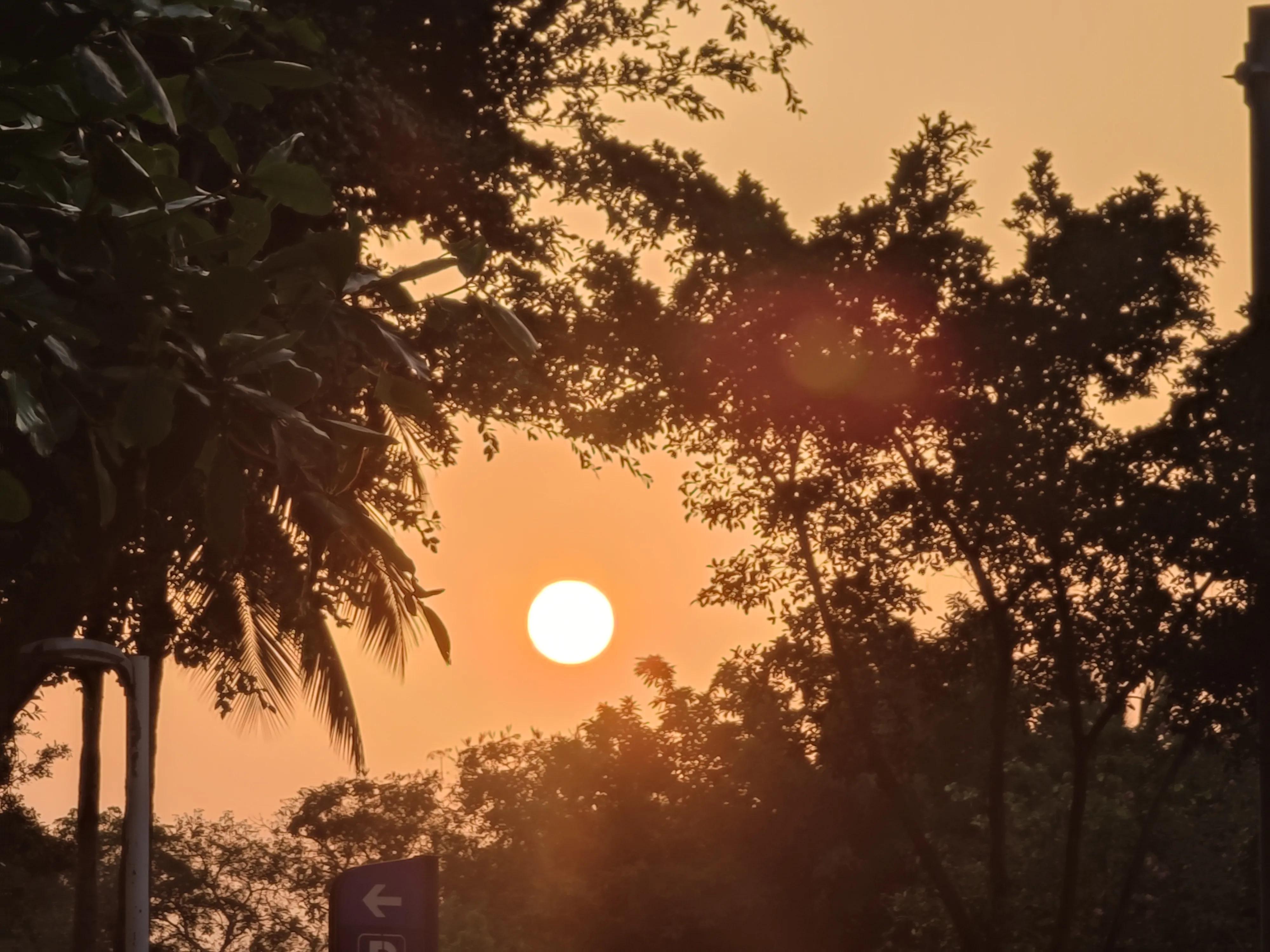 国产拍照最好的手机2022,最值得入手的拍照手机推荐