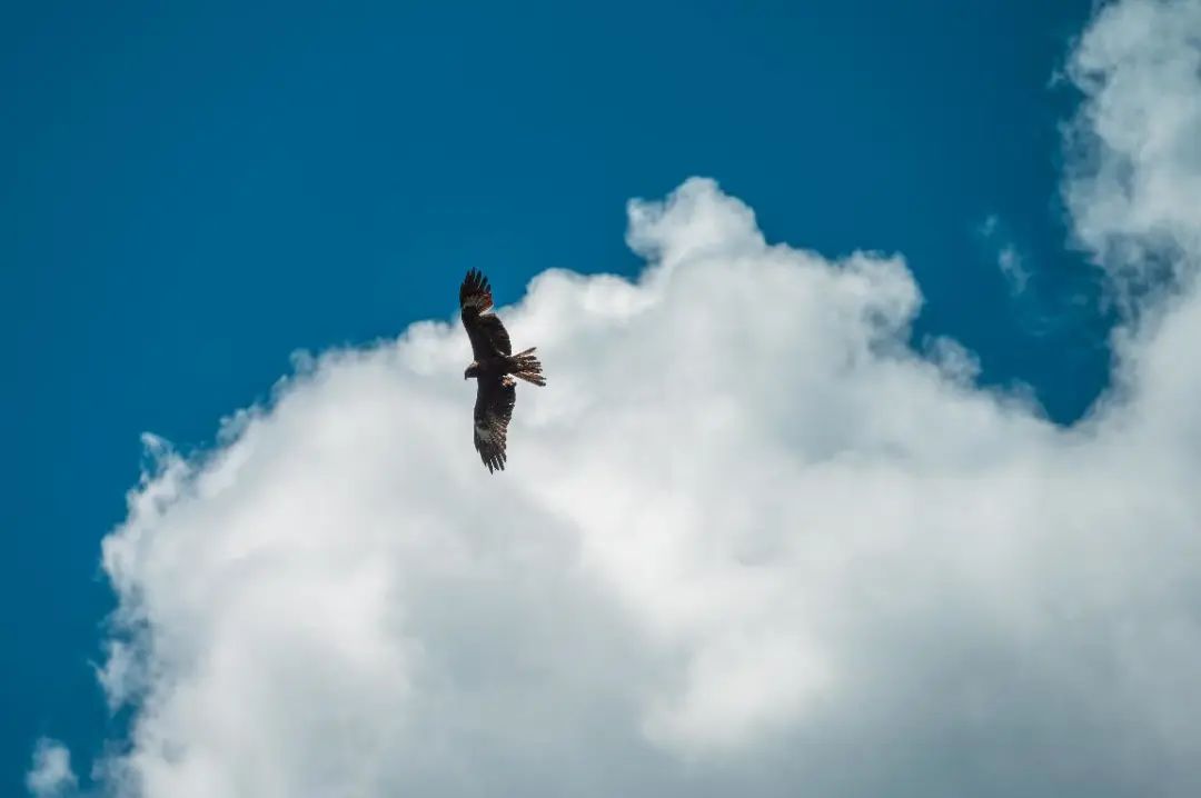 摄影新手推荐全画幅镜头,人像镜头跟长焦镜头该如何选择