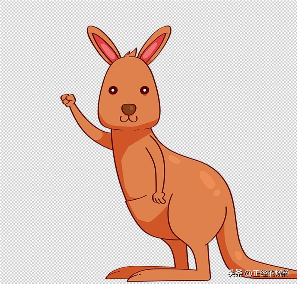 袋鼠动物特性,袋鼠的意义