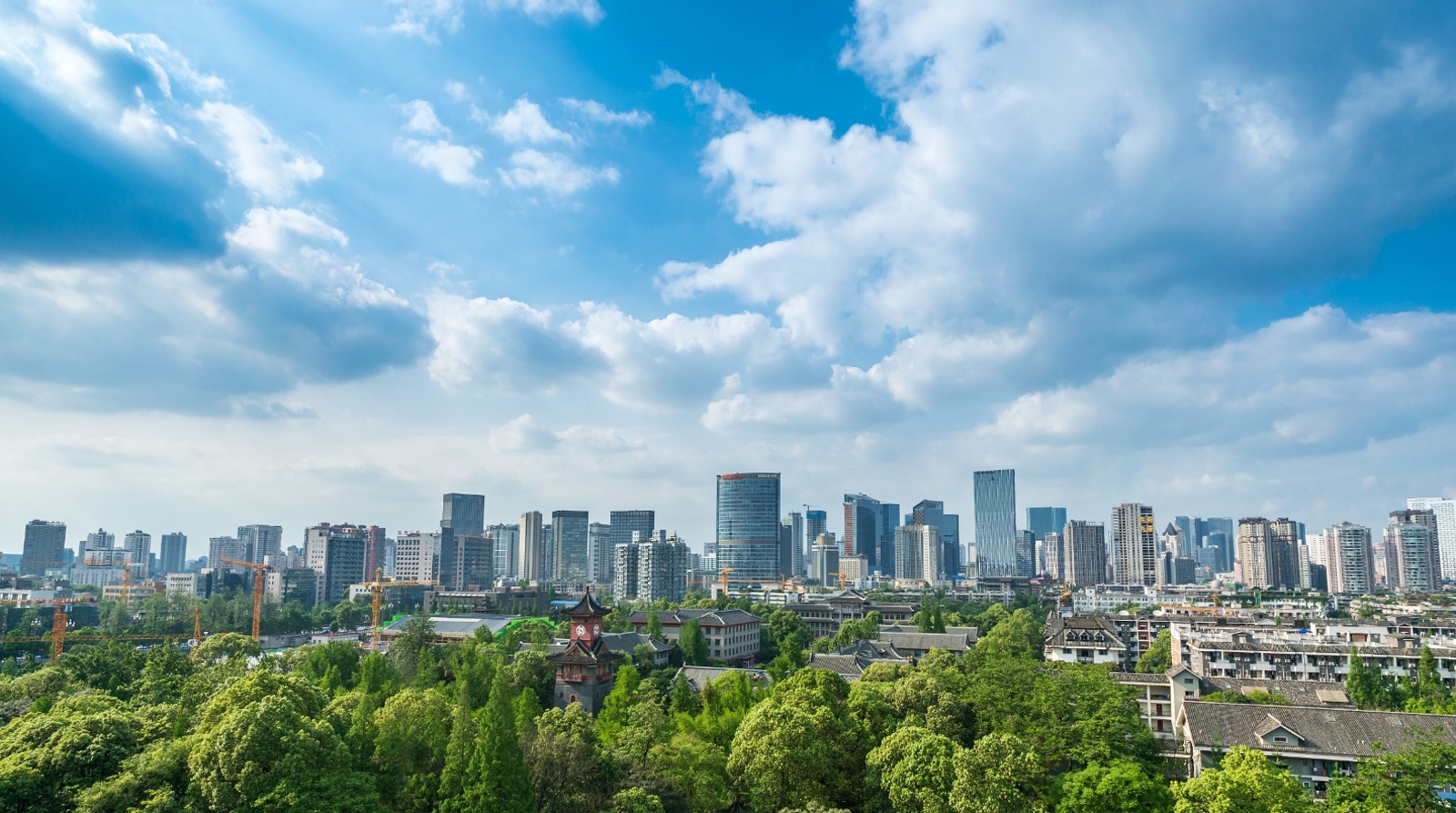 被授予五星级党支部,祝贺支部获得先进基层党组织