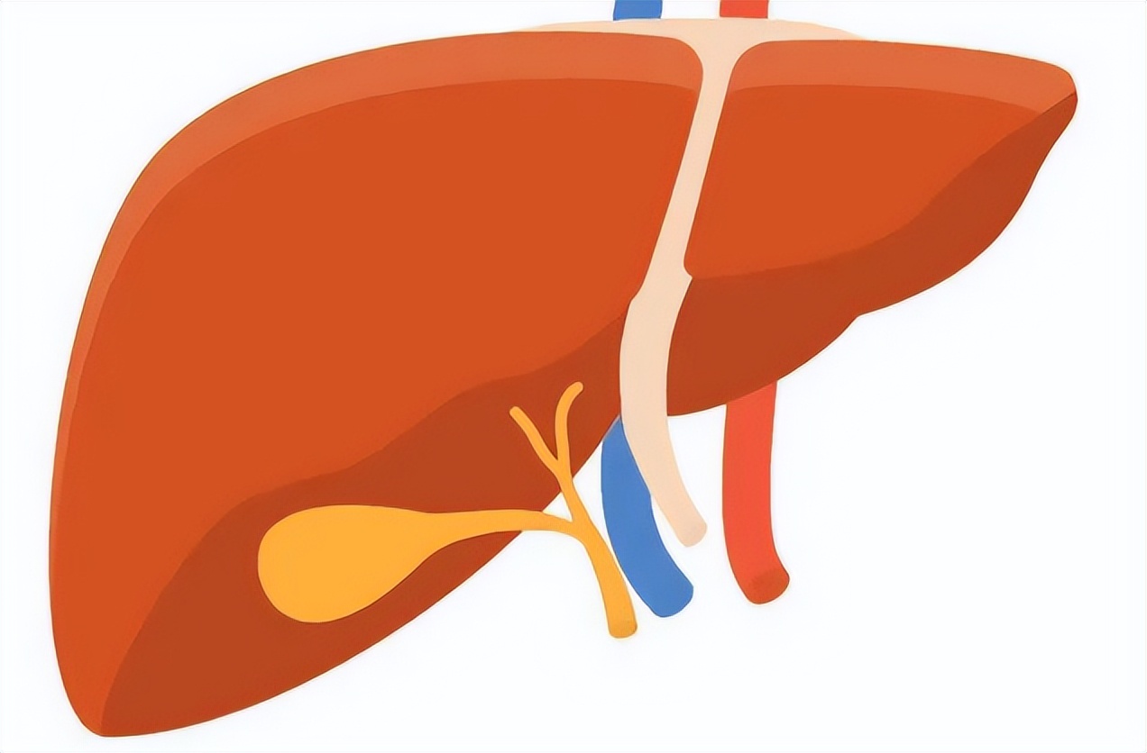 乙肝早期肝硬化结节可以治愈吗,乙肝早期肝硬化可以治愈吗