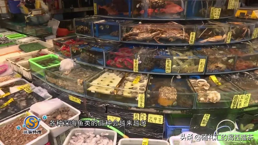 生猛海鲜即将回归你准备好了吗,一大波生猛海鲜即将来袭