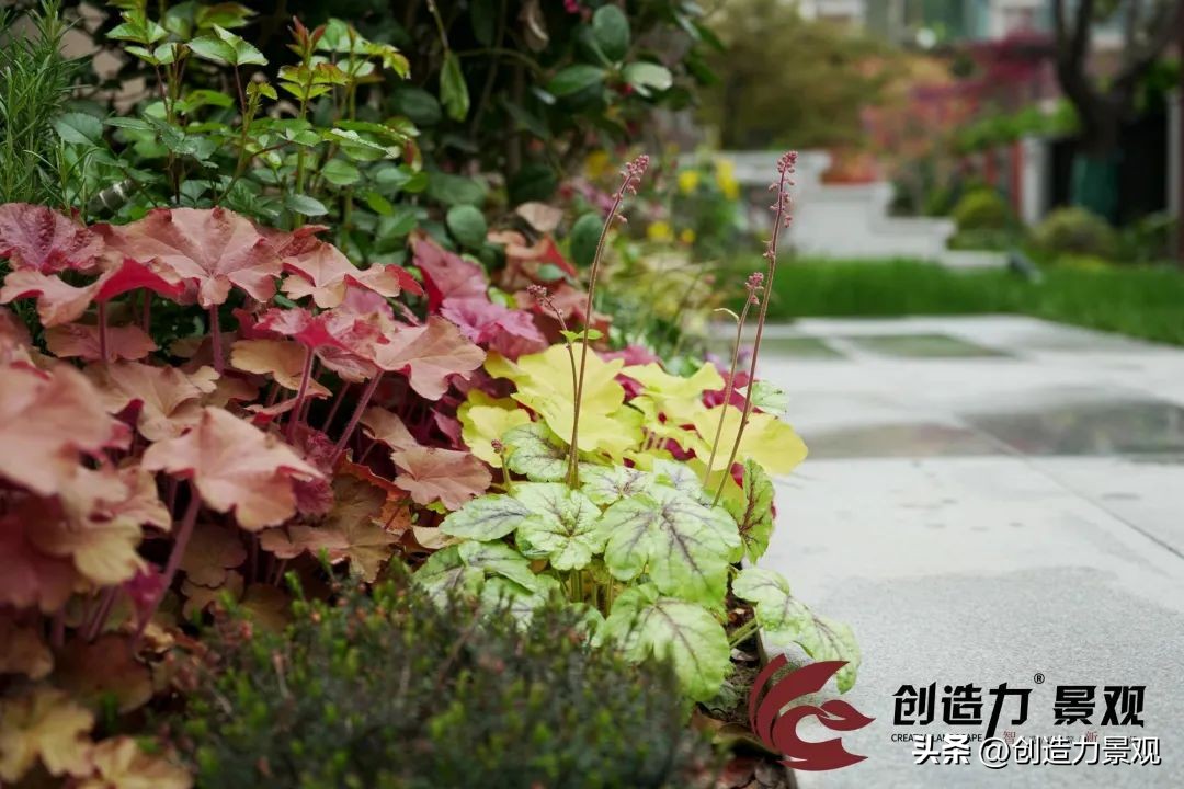 山水华门棕榈湾,山水华门双拼别墅