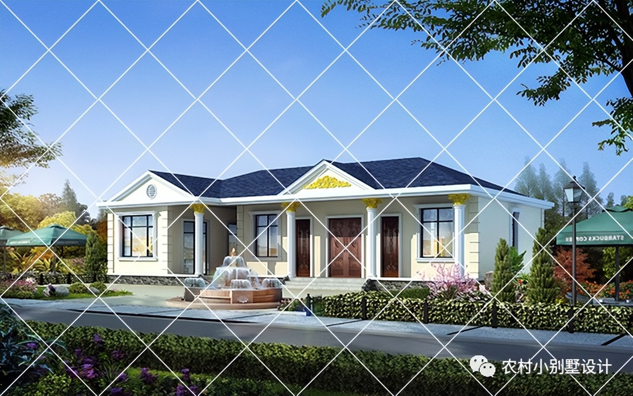 一层半层小别墅新款农村自建房,农村自建房一层别墅设计最新款