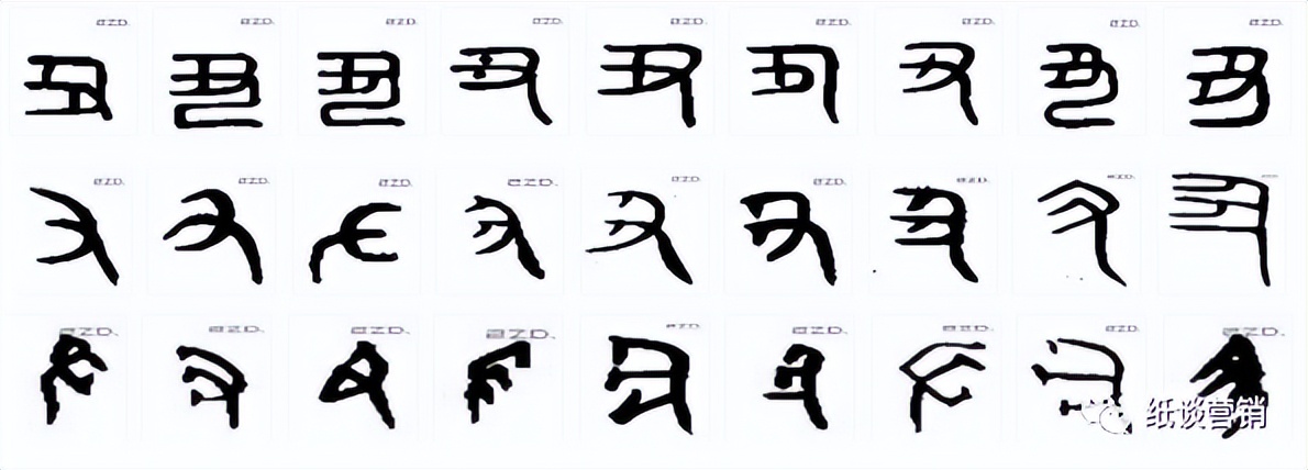 十二地支本身的字义,十二地支的详尽解释图